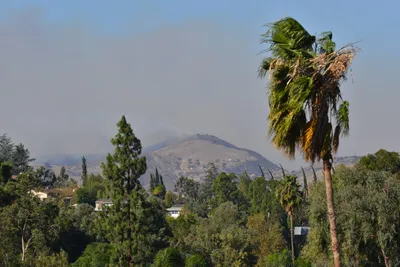 DSC_5596 (Large).JPG